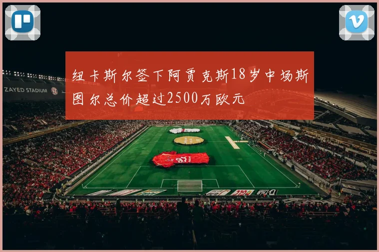 纽卡斯尔签下阿贾克斯18岁中场斯图尔总价超过2500万欧元