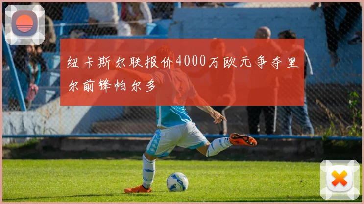 纽卡斯尔联报价4000万欧元争夺里尔前锋帕尔多