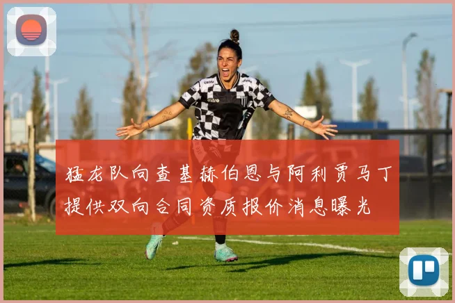 猛龙队向查基赫伯恩与阿利贾马丁提供双向合同资质报价消息曝光